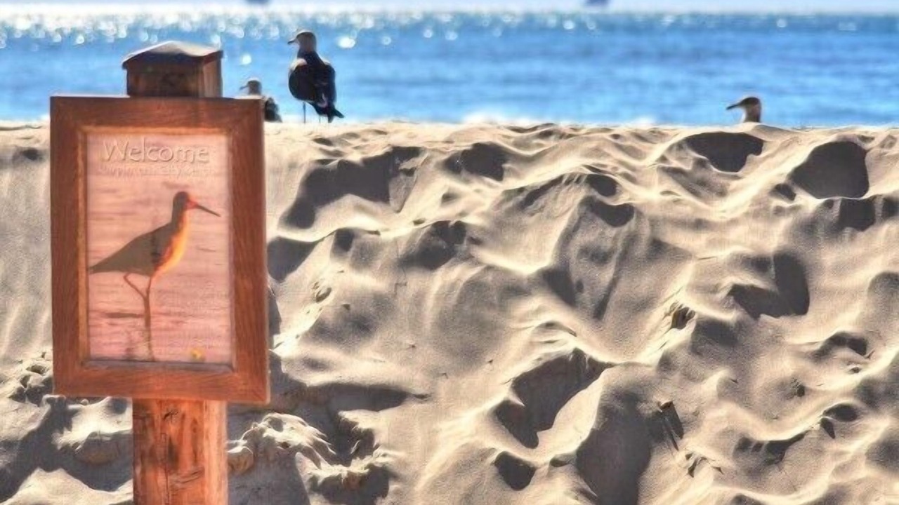 Photo of Outdoor in Carpinteria
