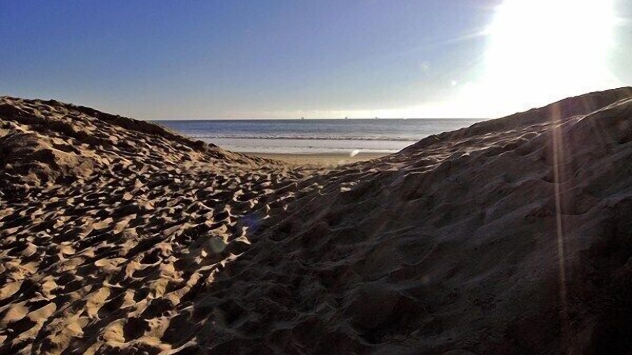 Photo of Others in Carpinteria