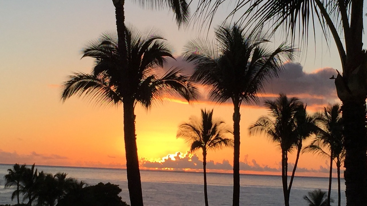 Photo of Others in Kihei