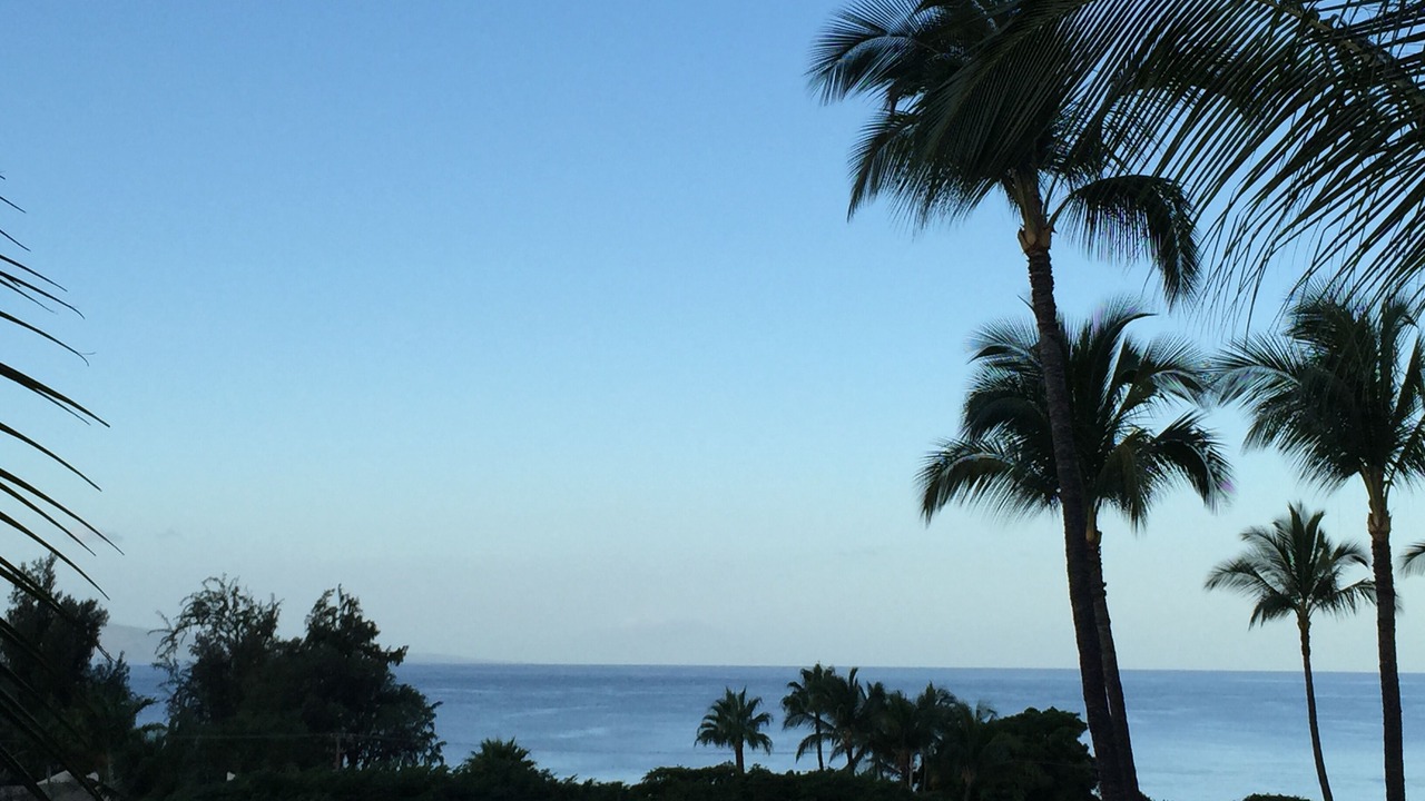 Photo of Others in Kihei