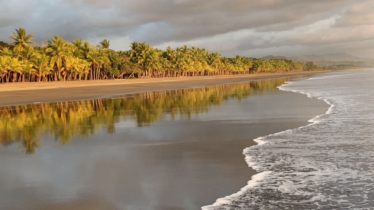 Photo of Others in Ballena