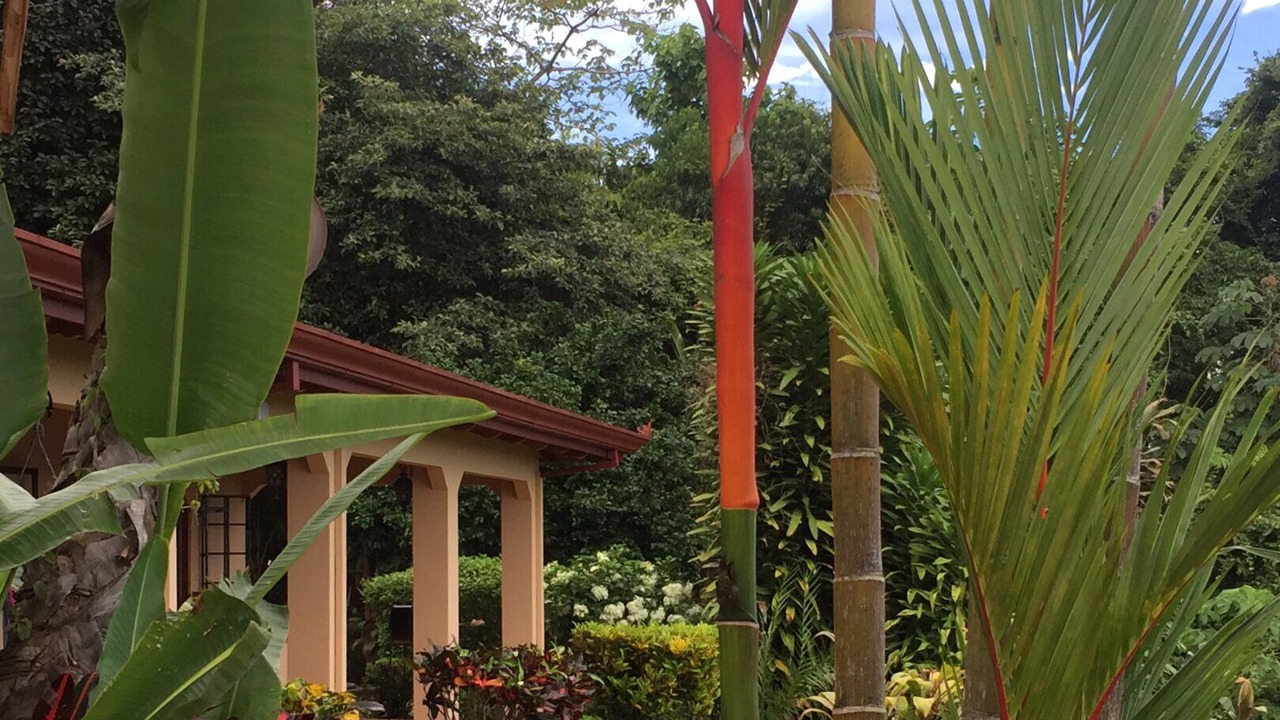 Photo of Outdoor in Ojochal