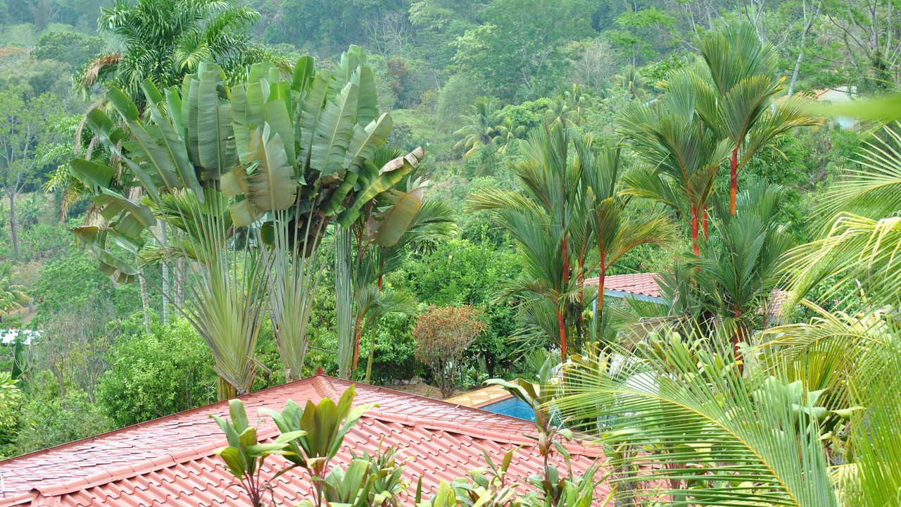 Photo of Others in Ojochal