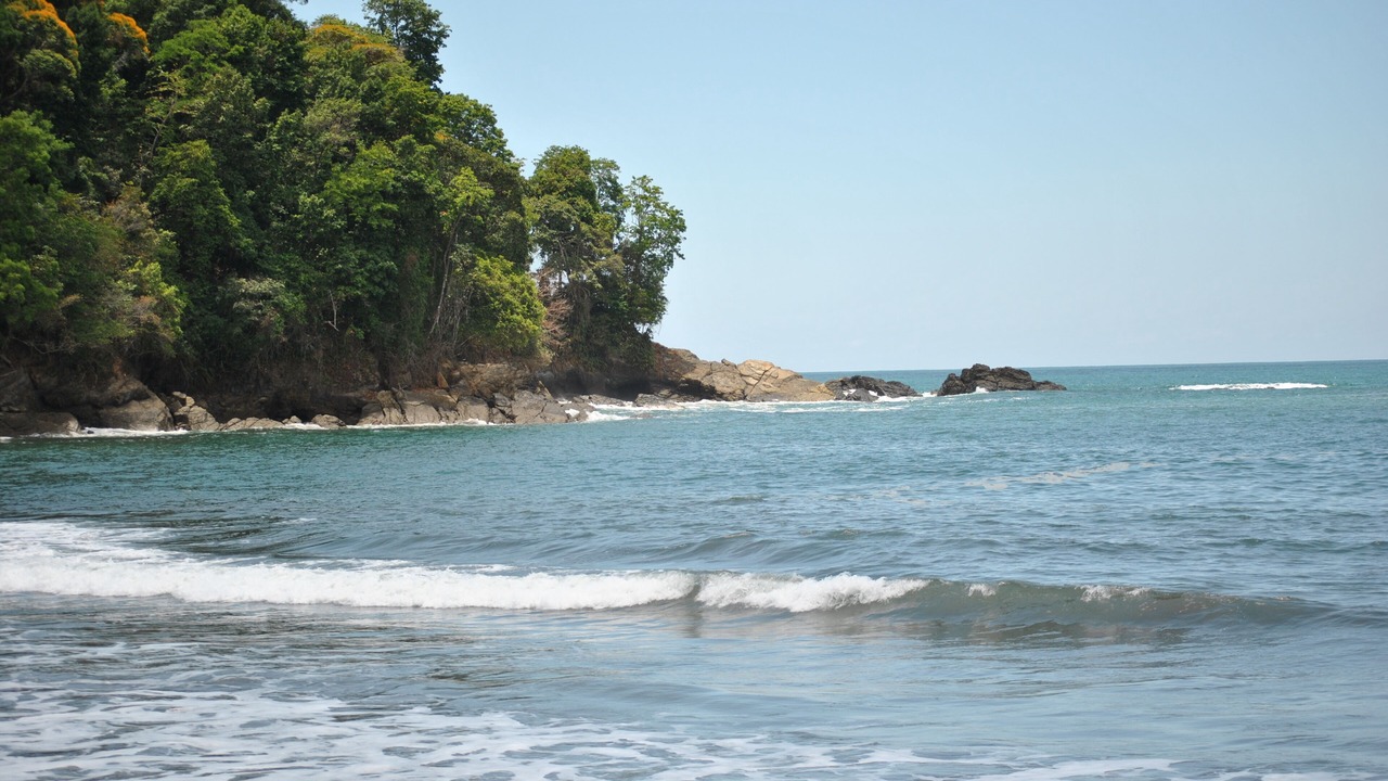Photo of Others in Ojochal
