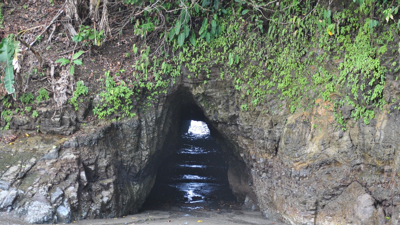 Photo of Others in Ojochal