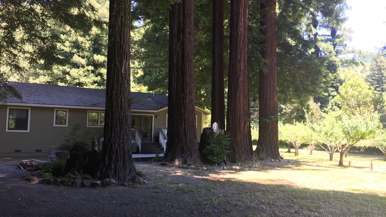 Photo of Outdoor in Cazadero