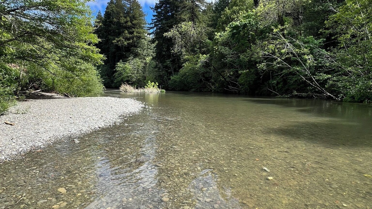 Photo of Others in Cazadero