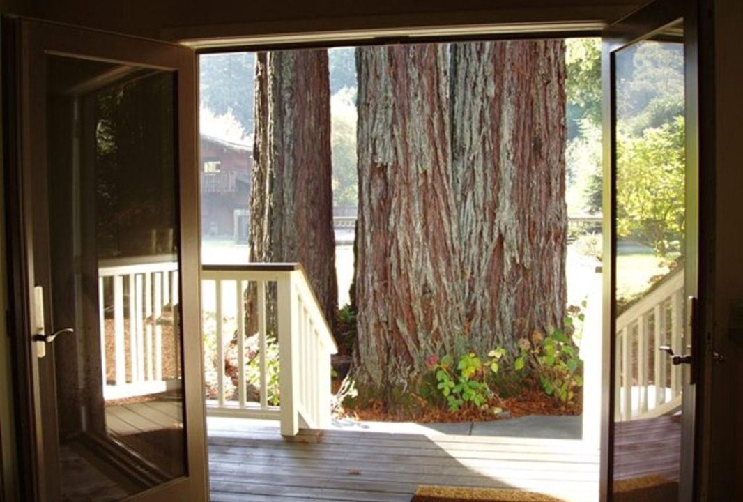 Photo of Others in Cazadero