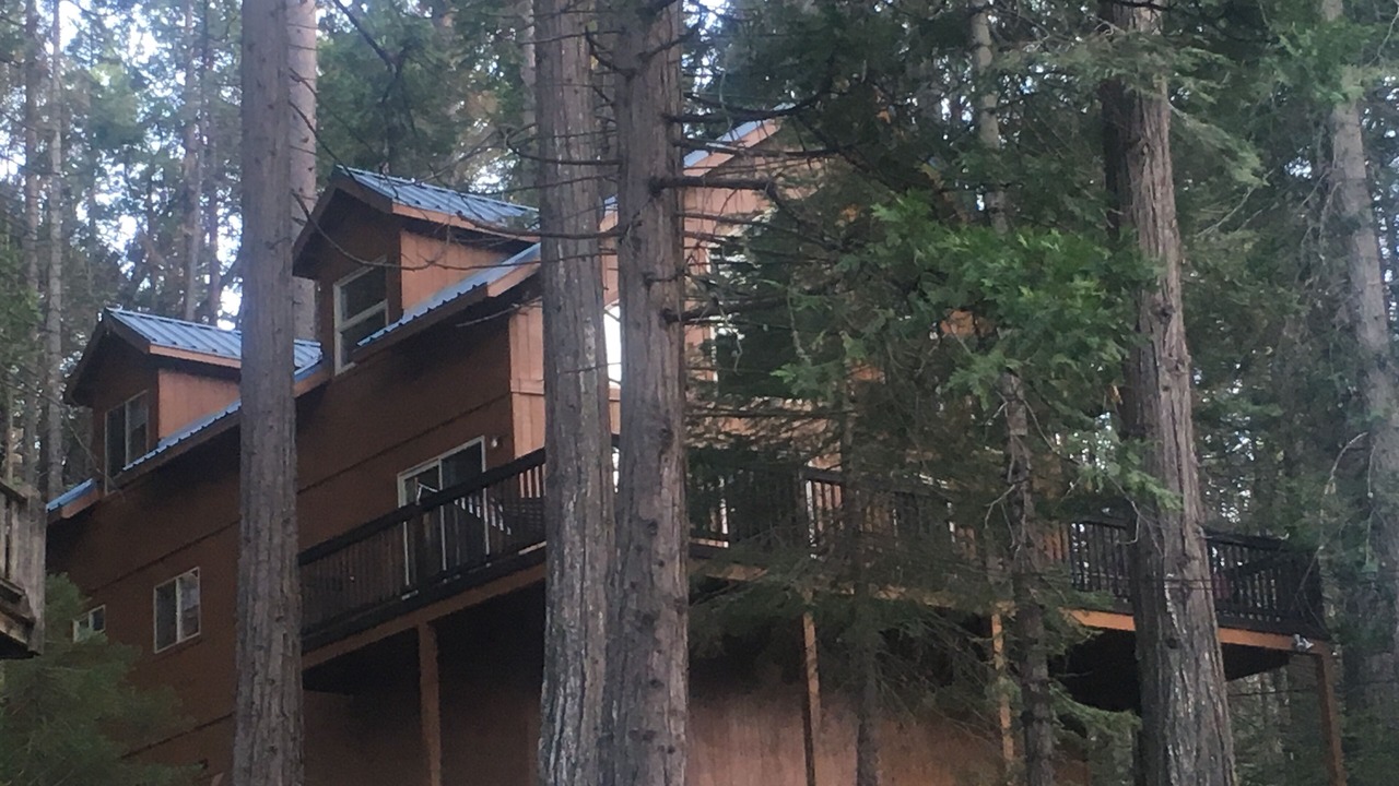 Photo of Outdoor in Sugar Pine