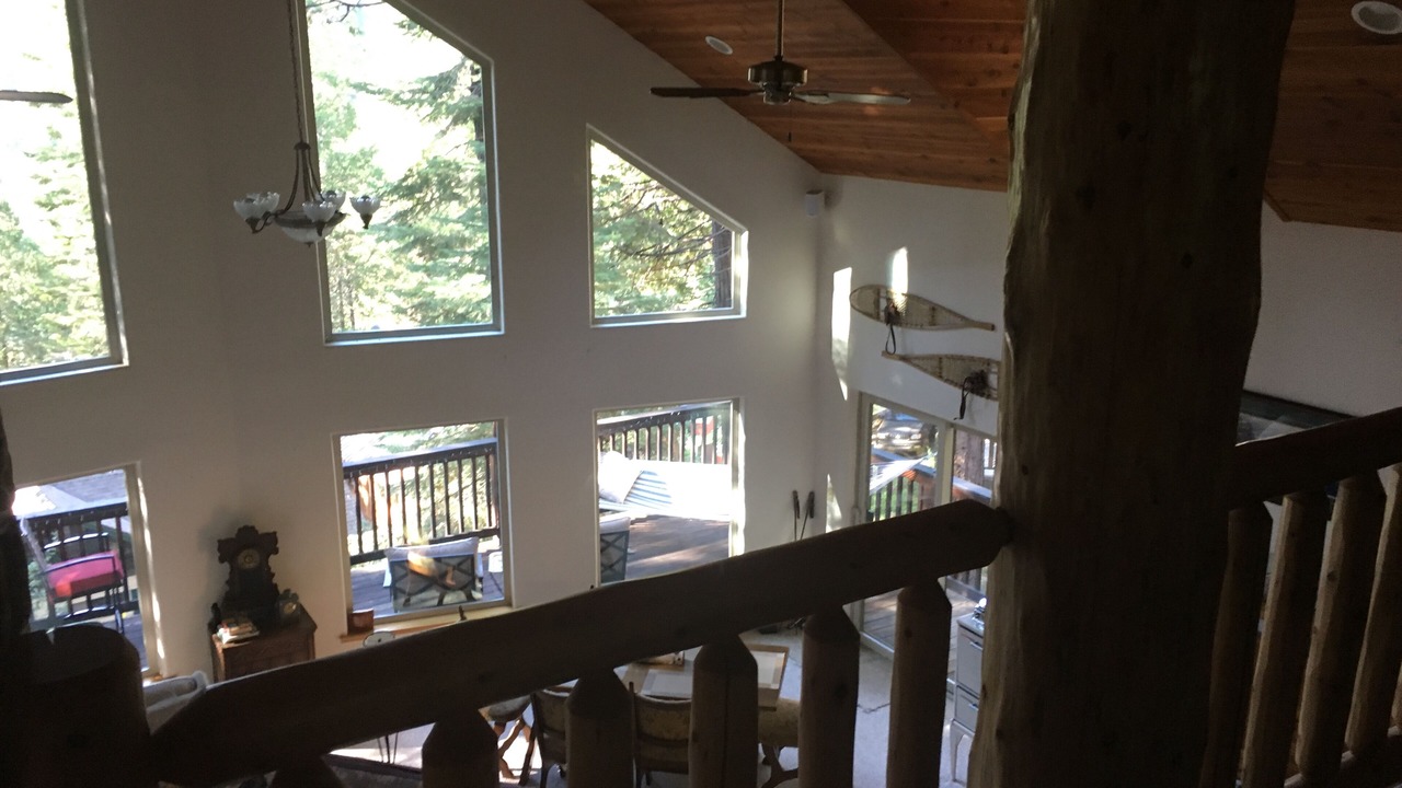Photo of Others in Sugar Pine