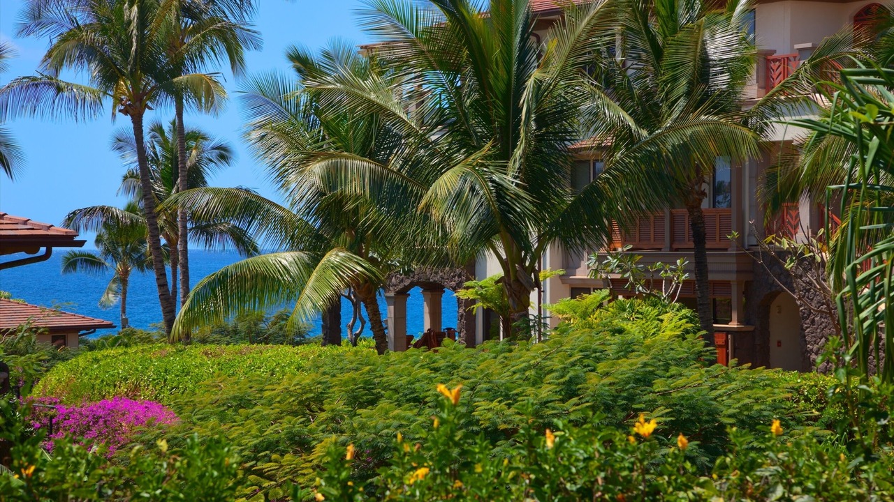Photo of Outdoor in Wailea