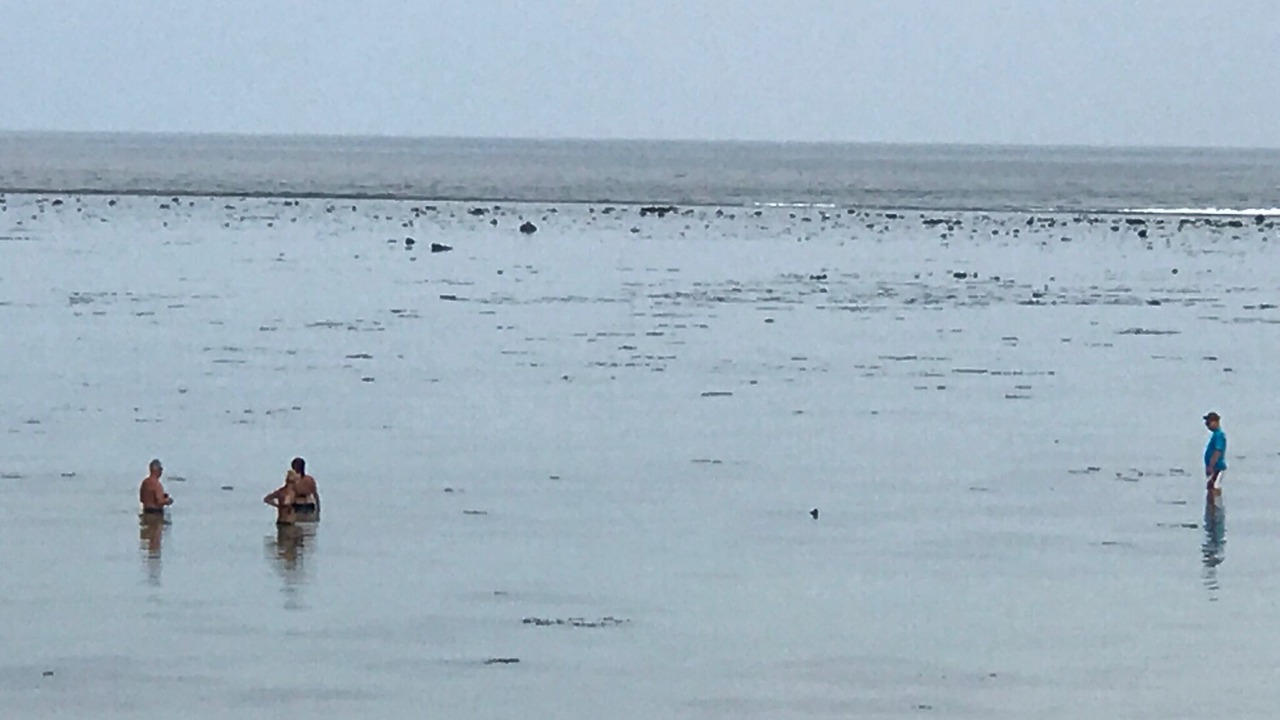 Photo of Others in Tagaqe
