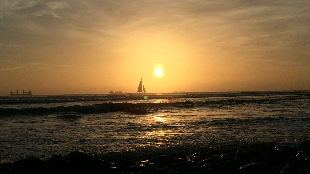 Photo of Others in Oeiras