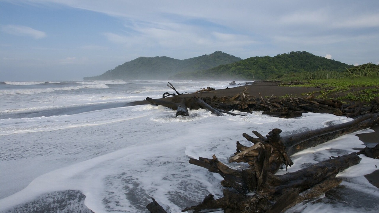 Photo of Others in Nicoya Peninsula