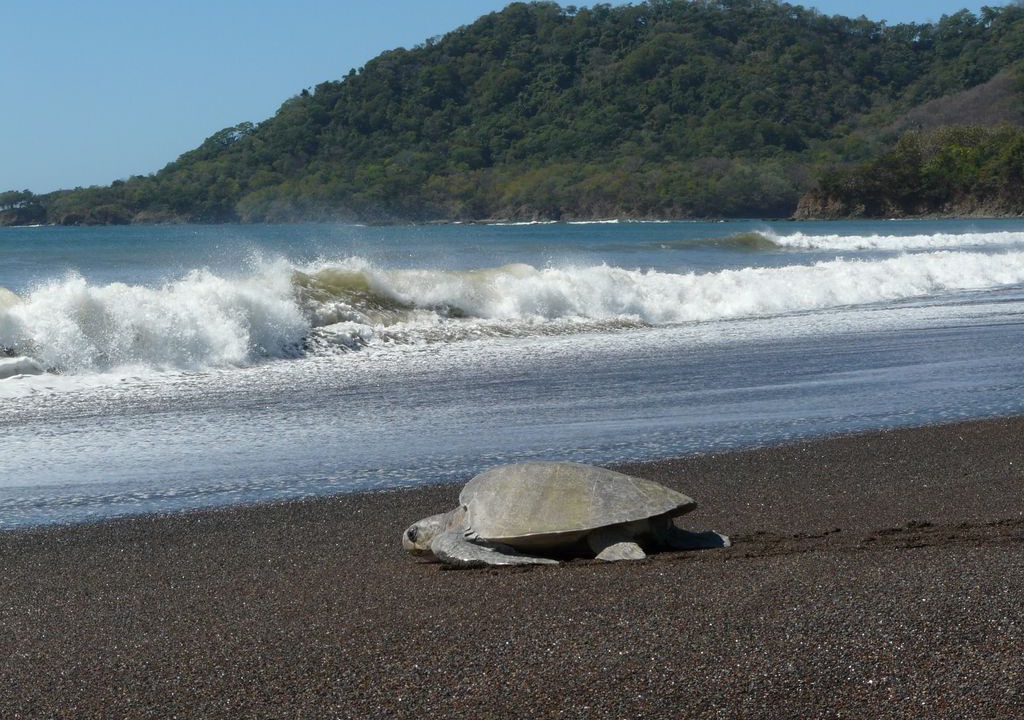 Photo of Others in Nicoya Peninsula