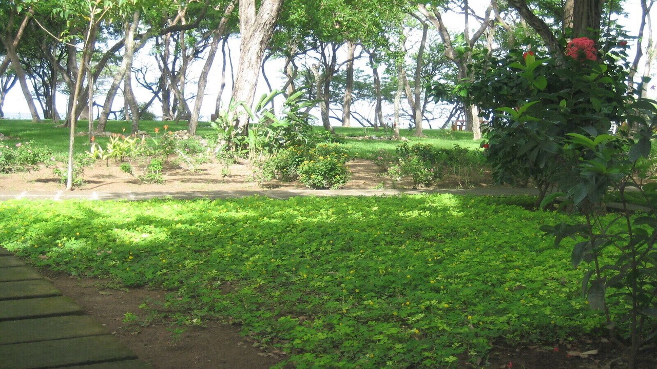 Photo of Others in Playa El Coco
