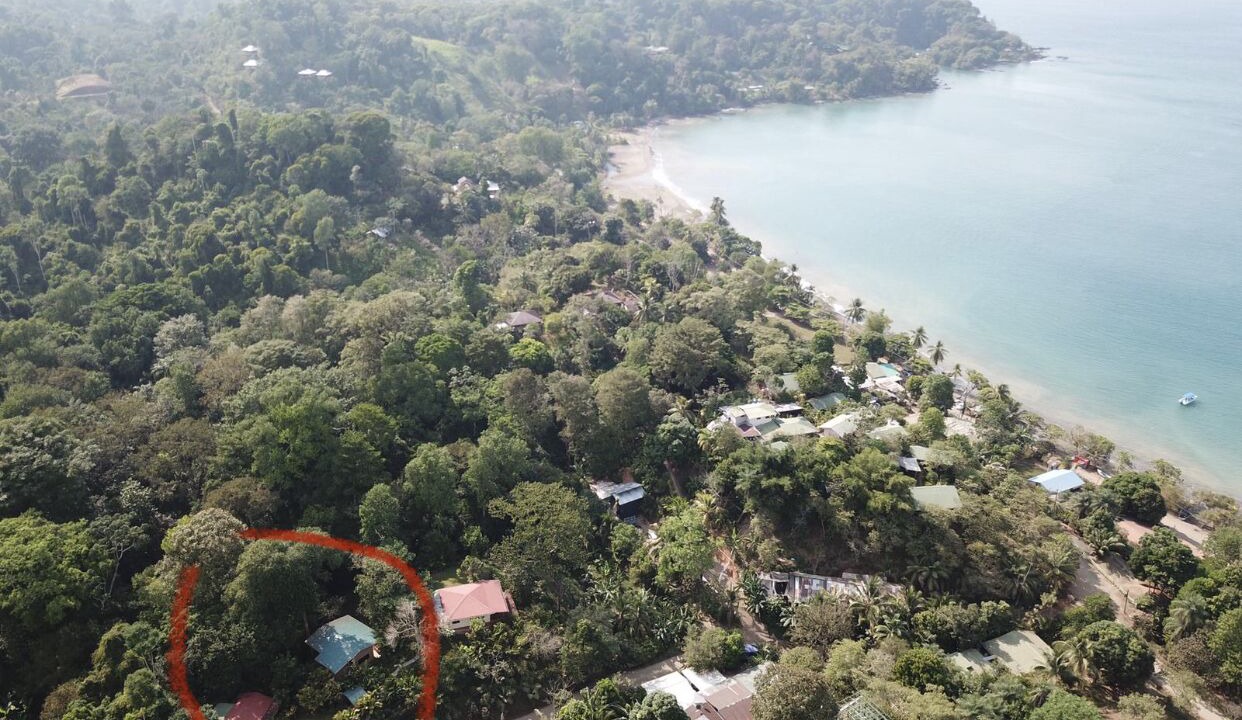Photo of Outdoor in Drake Bay