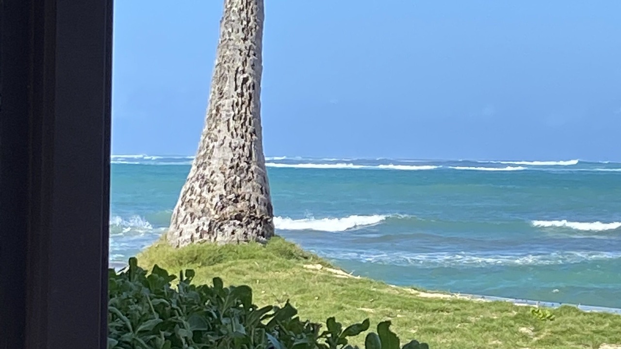 Photo of Others in Waialua