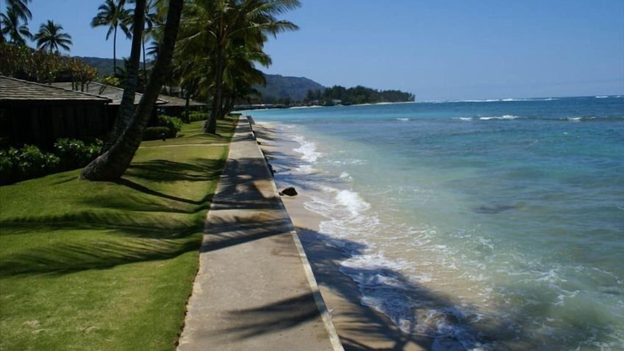 Photo of Others in Waialua