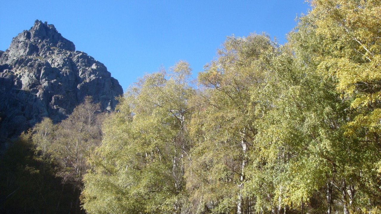Photo of Outdoor in Manteigas
