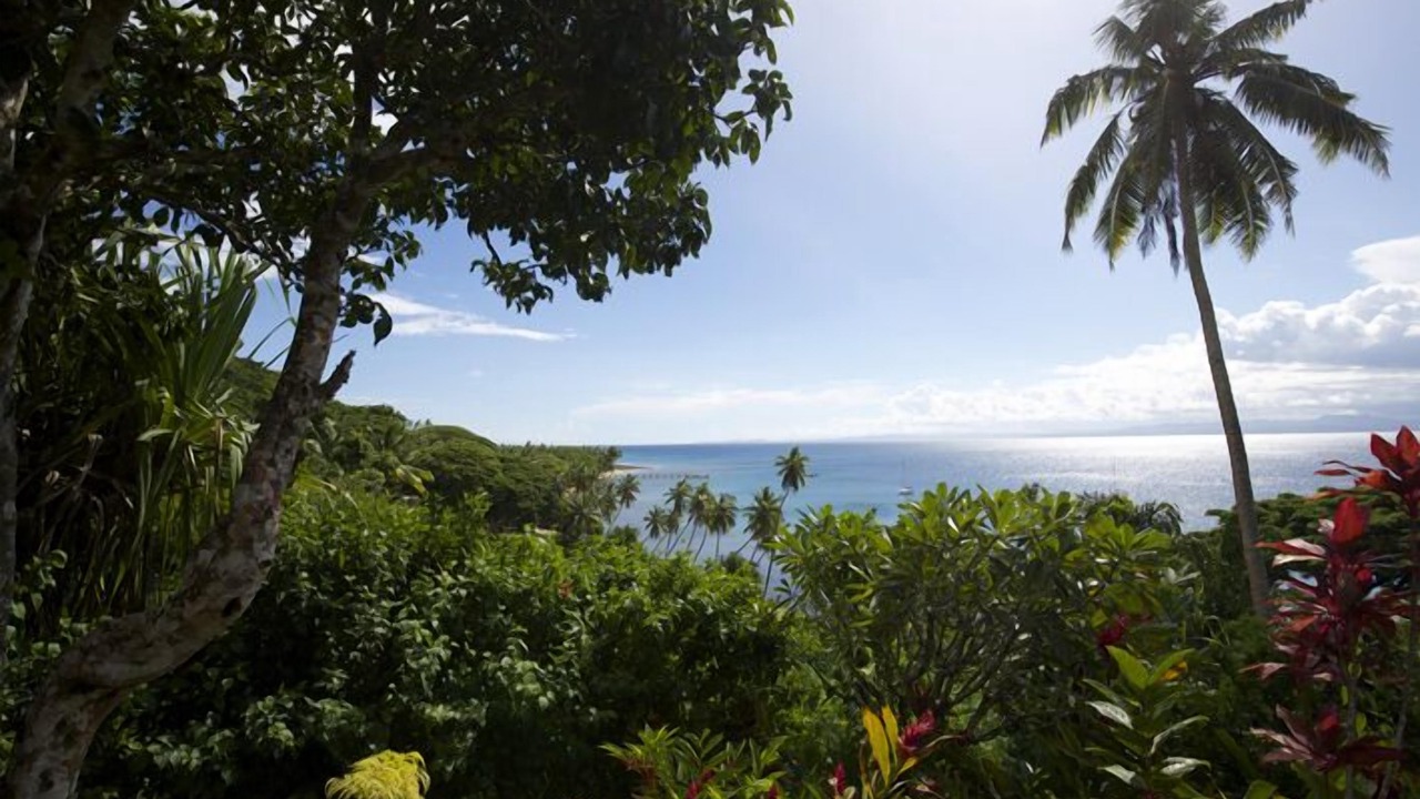 Photo of Others in Savusavu