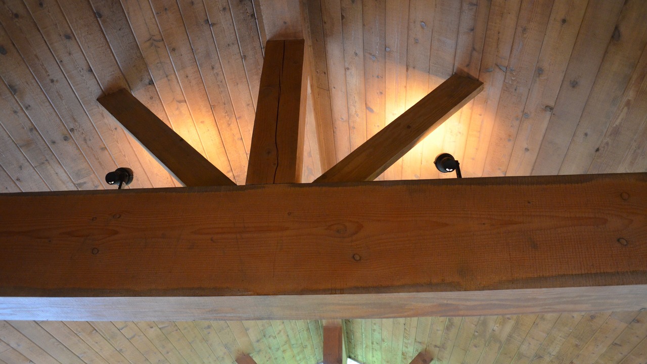 Photo of Others in Tofino