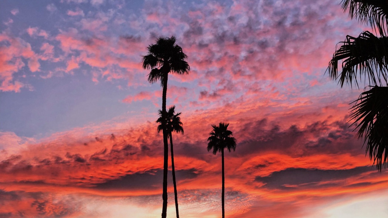 Photo of Others in Palm Desert