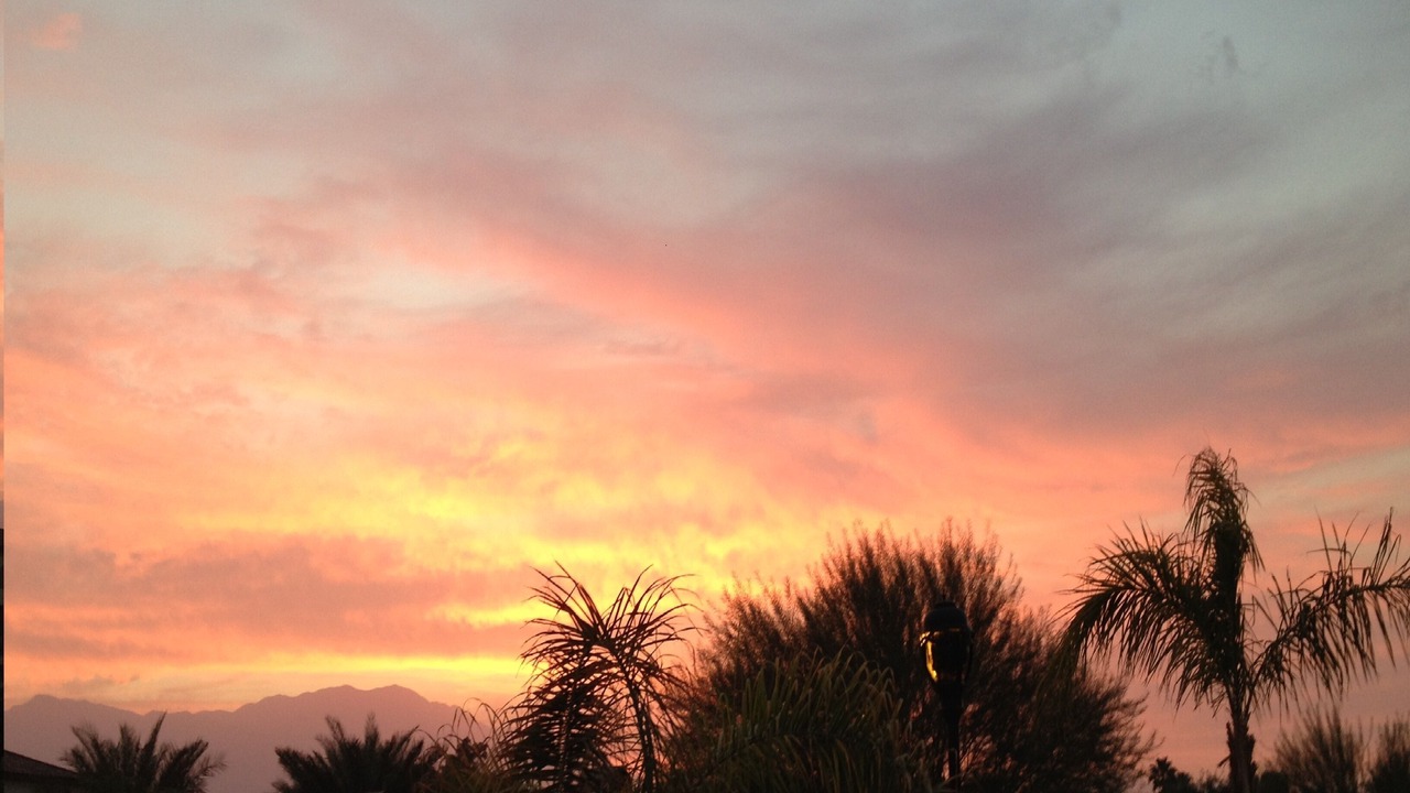 Photo of Others in Palm Desert