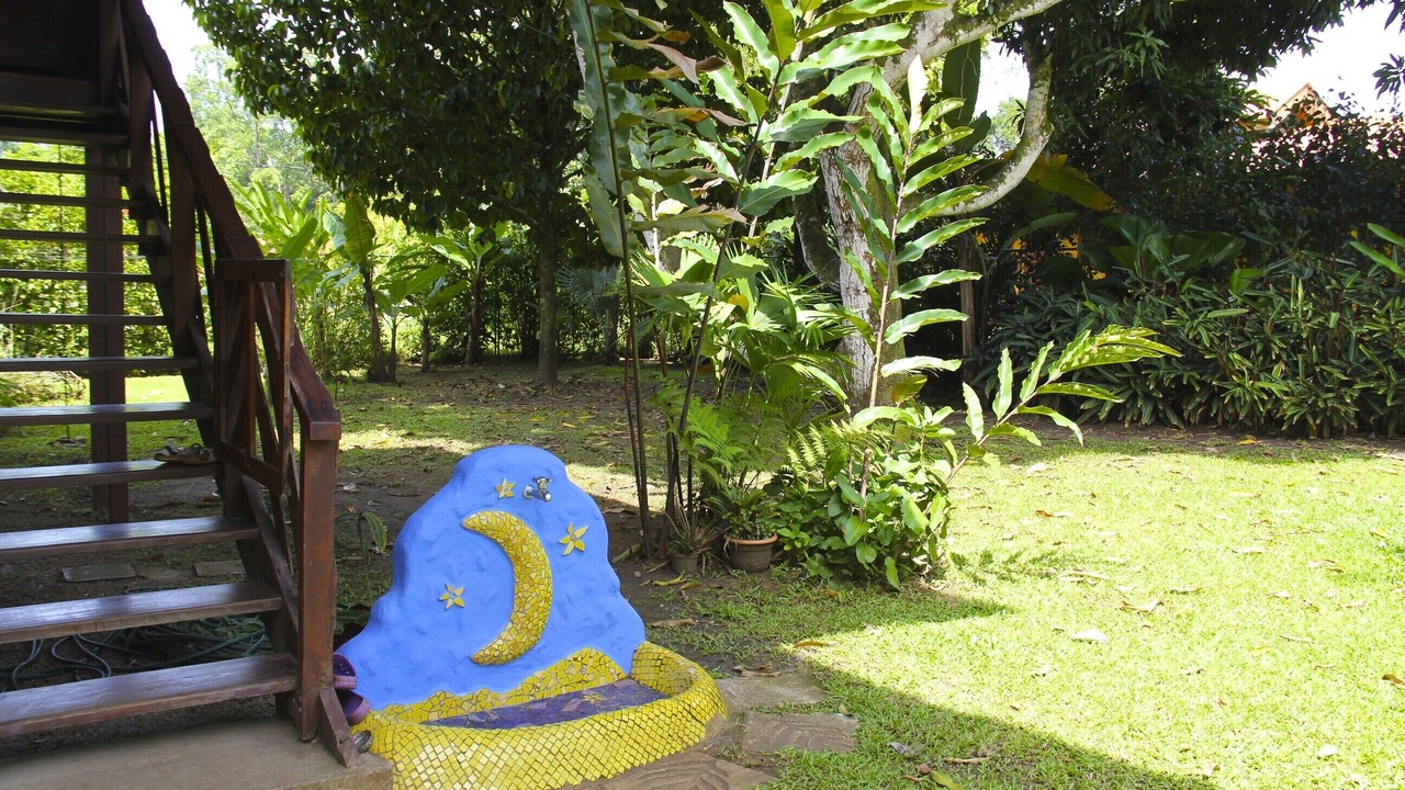 Photo of Others in Puerto Viejo de Talamanca
