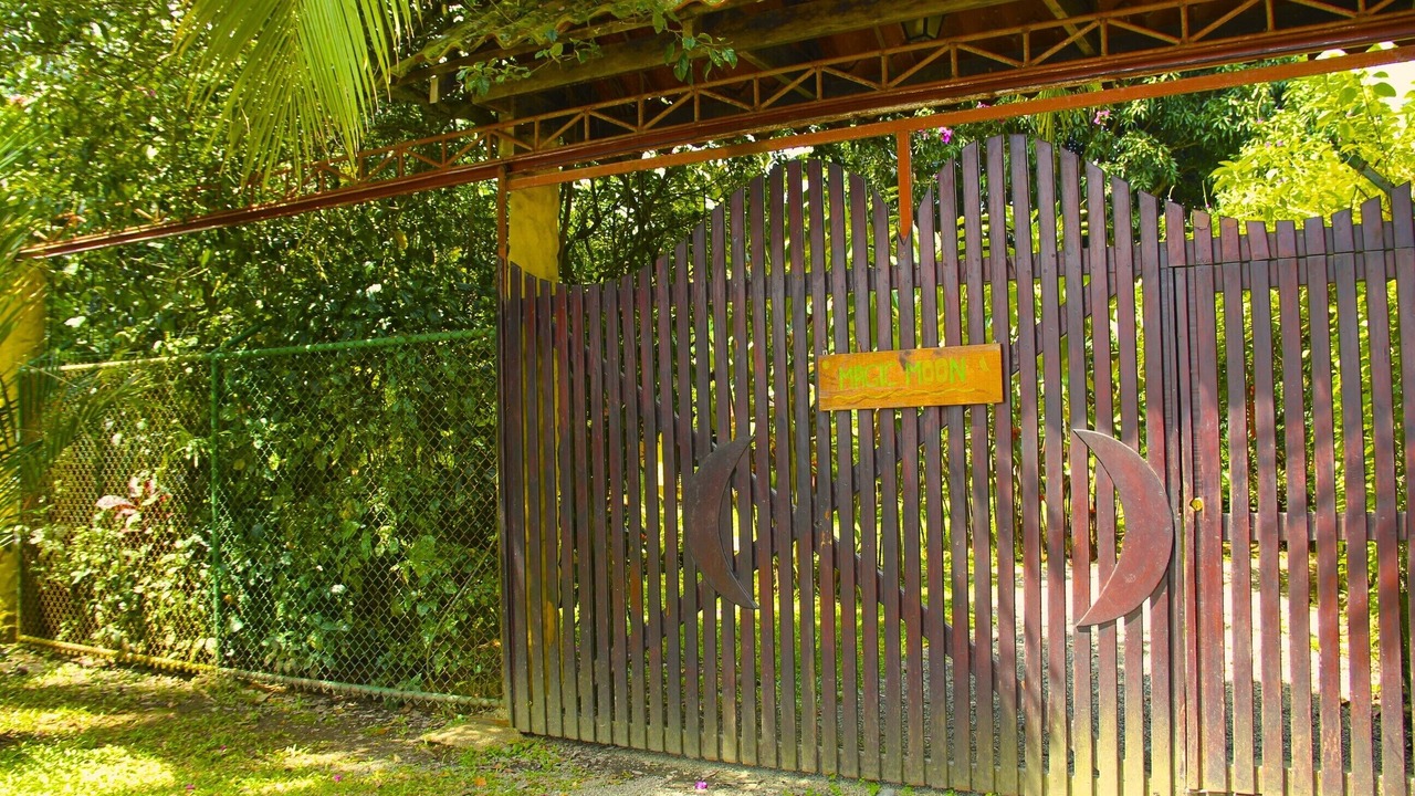 Photo of Others in Puerto Viejo de Talamanca