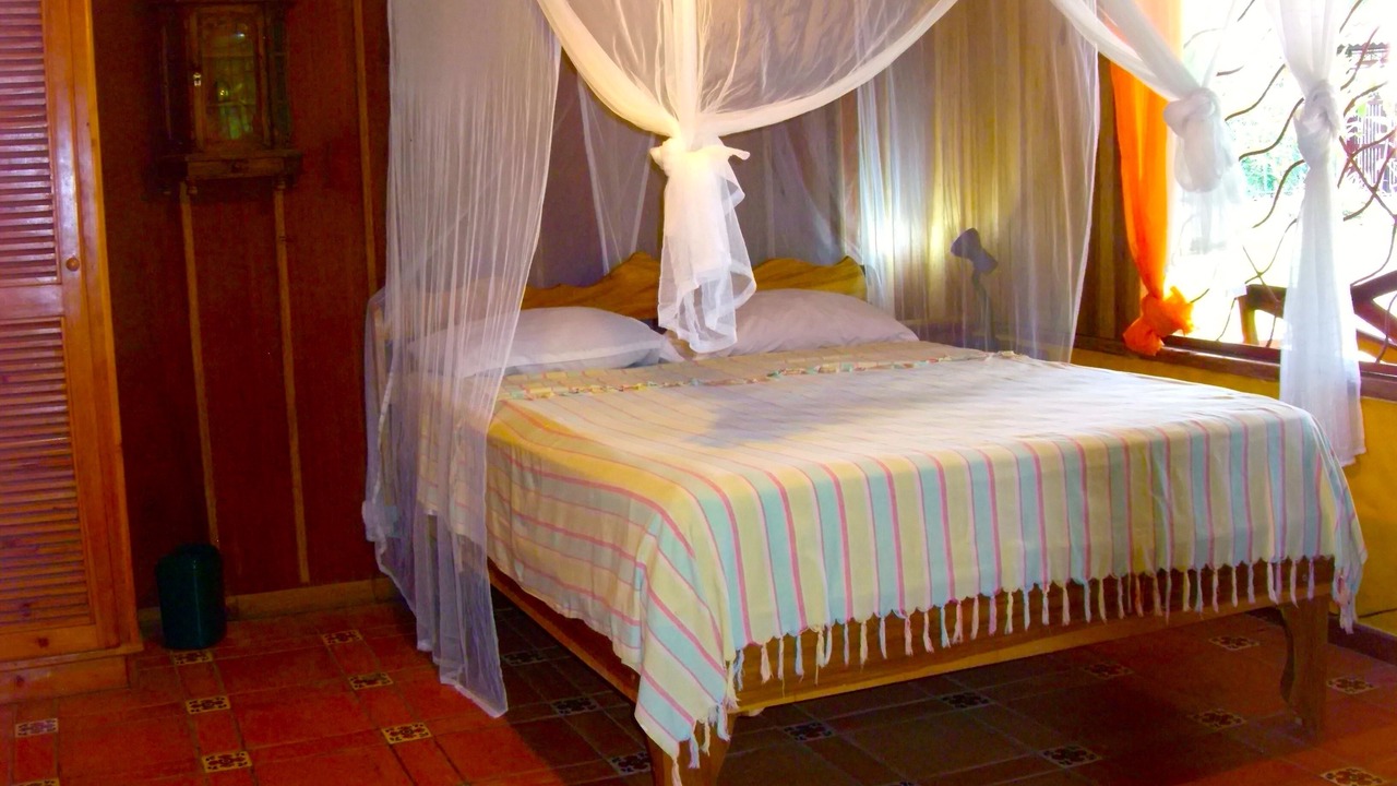 Photo of Bathroom in Puerto Viejo de Talamanca