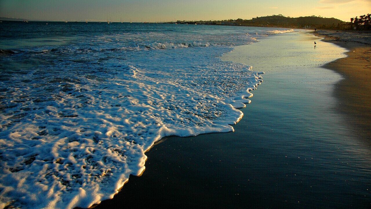 Photo of Others in Carpinteria