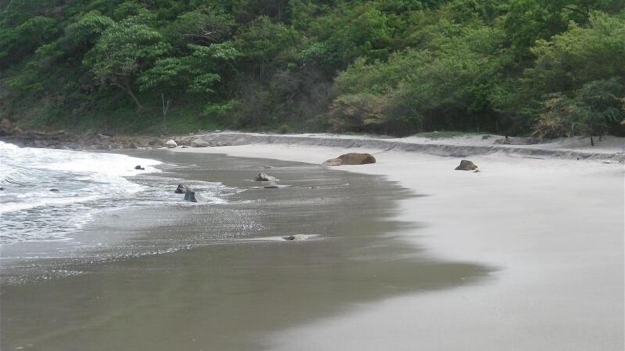Photo of Others in Playa La Redonda