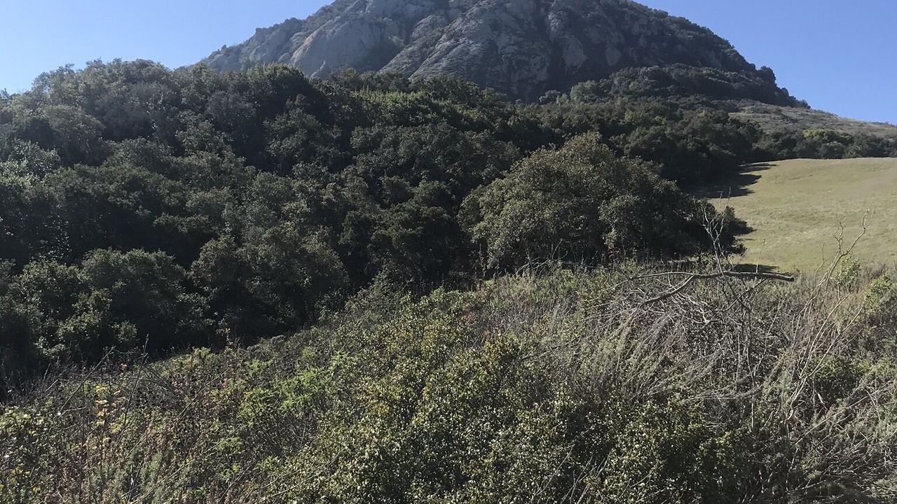 Photo of Others in San Luis Obispo