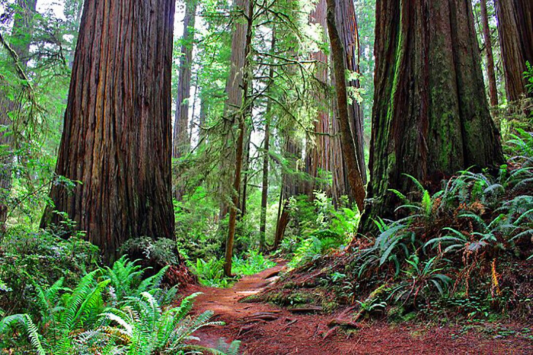 Photo of Outdoor in Montara