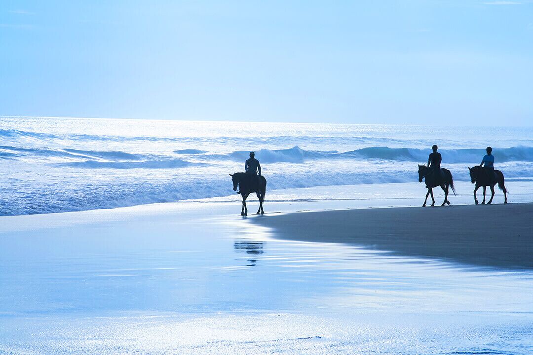Photo of Others in Montara