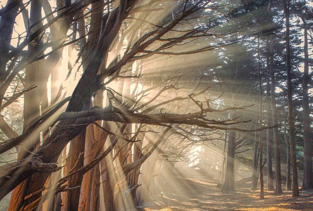 Photo of Others in Montara