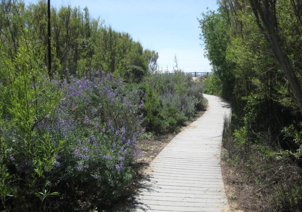 Photo of Others in Carpinteria