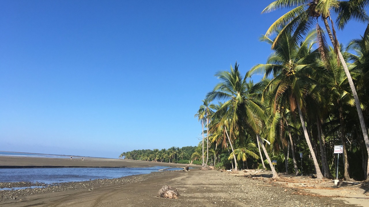 Photo of Others in Ballena