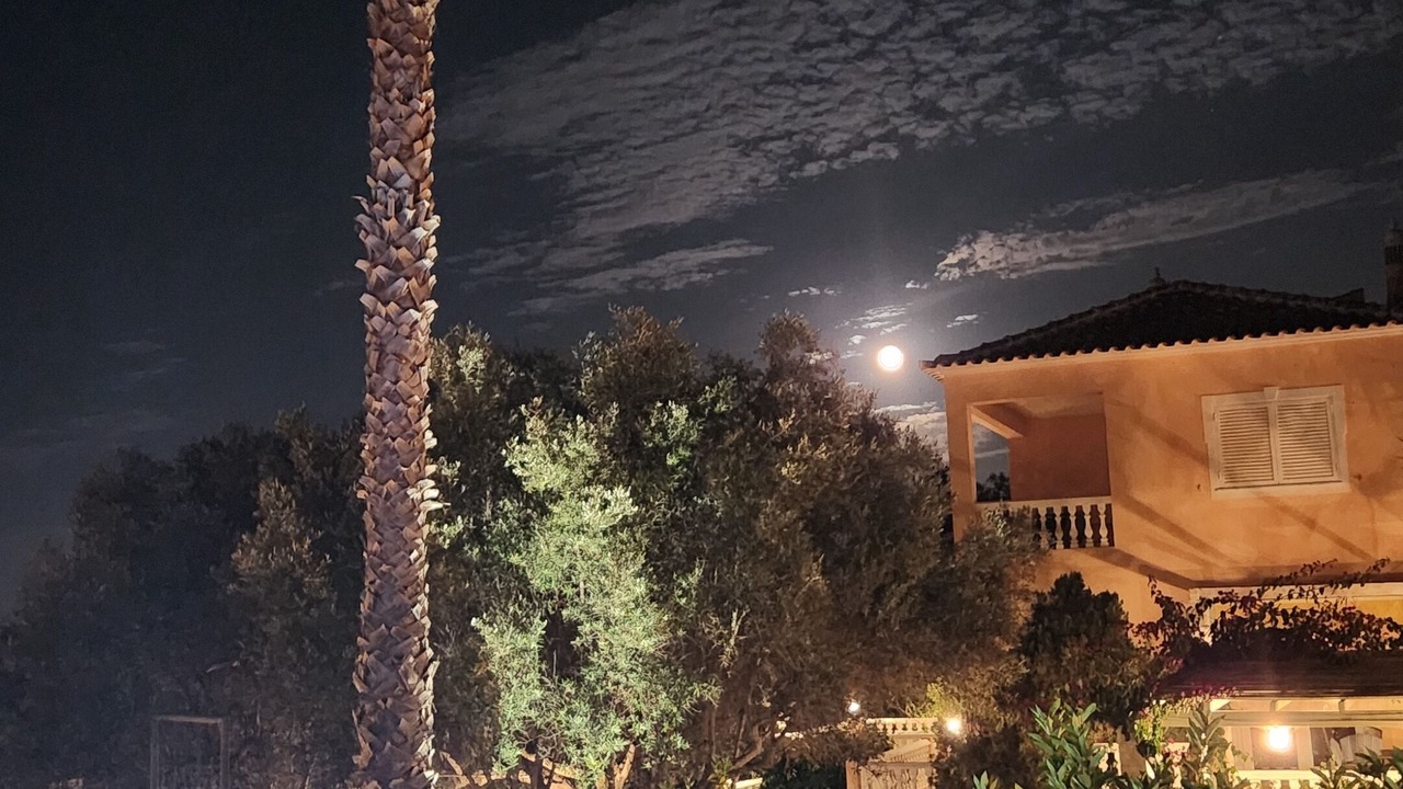Photo of Outdoor in Silves