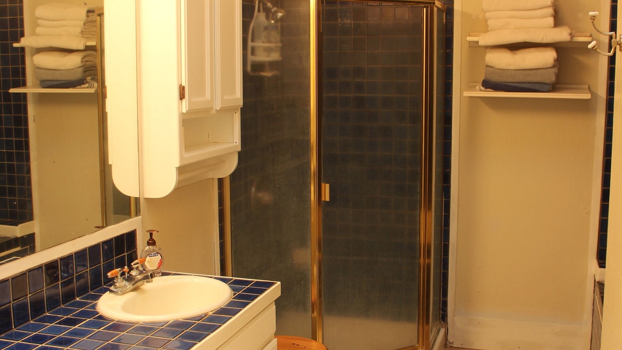 Photo of Bathroom in Waialua