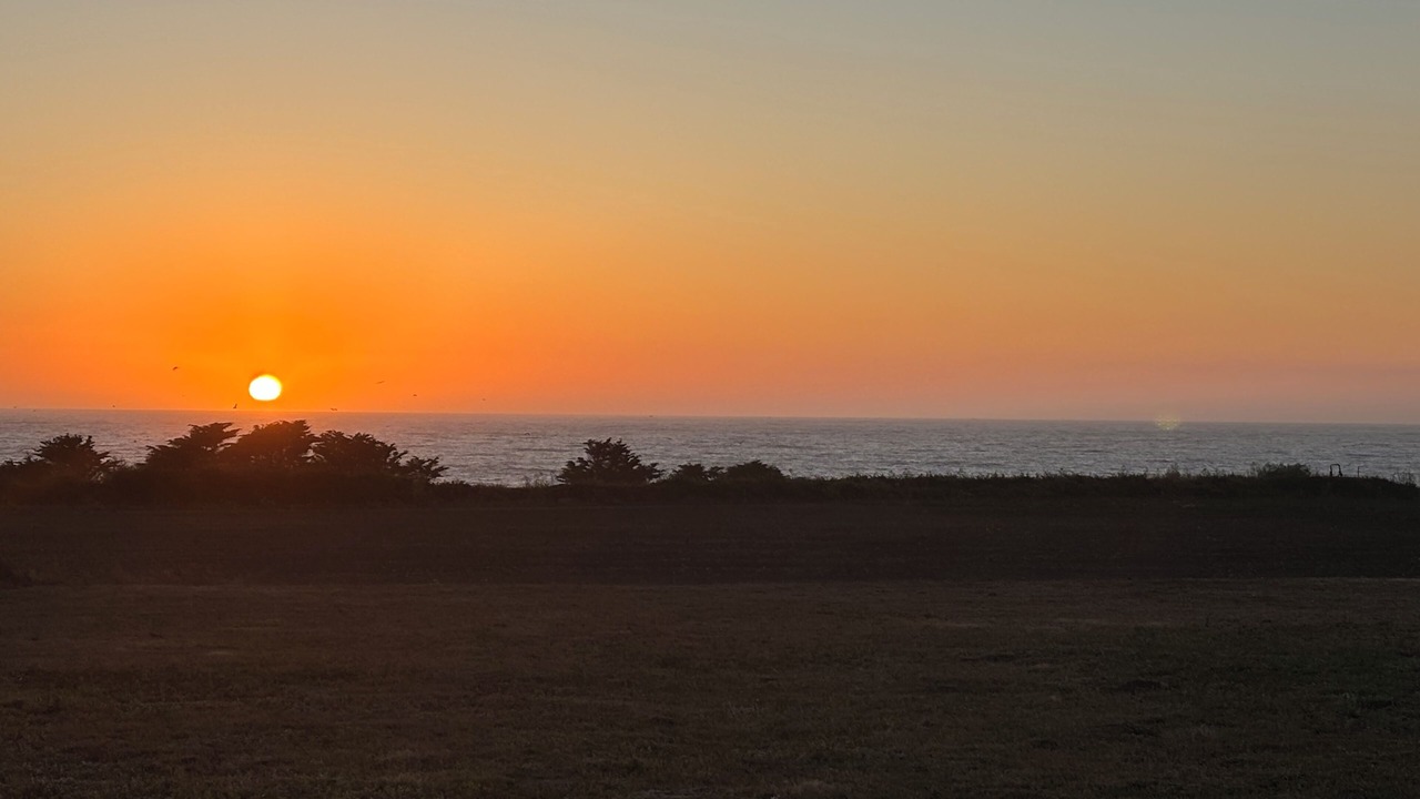Photo of Others in Pescadero