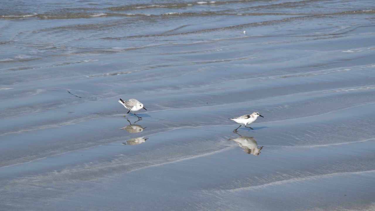 Photo of Others in Morro Bay