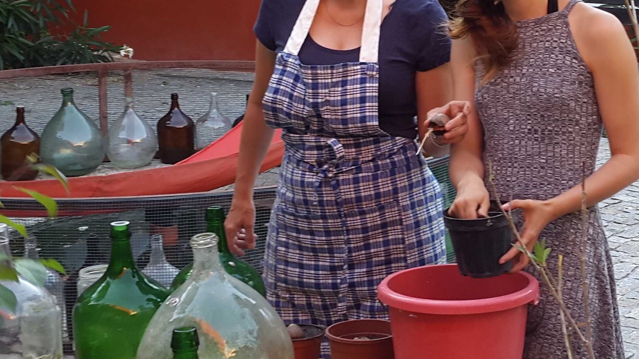 Photo of Outdoor in Cacia