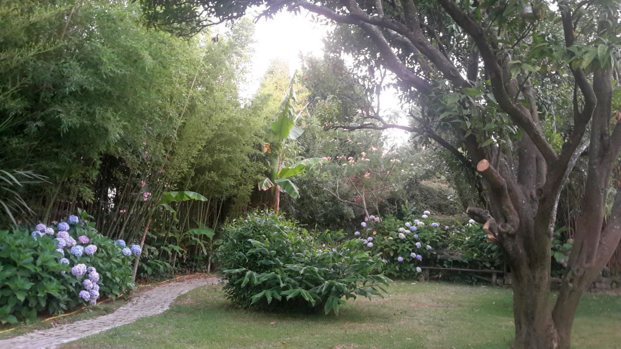 Photo of Outdoor in Cacia