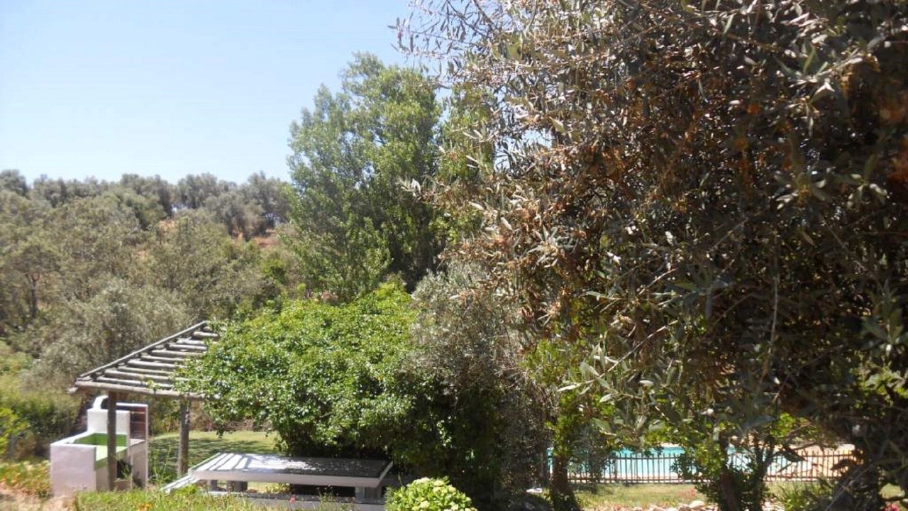 Photo of Outdoor in Montemor-o-Novo