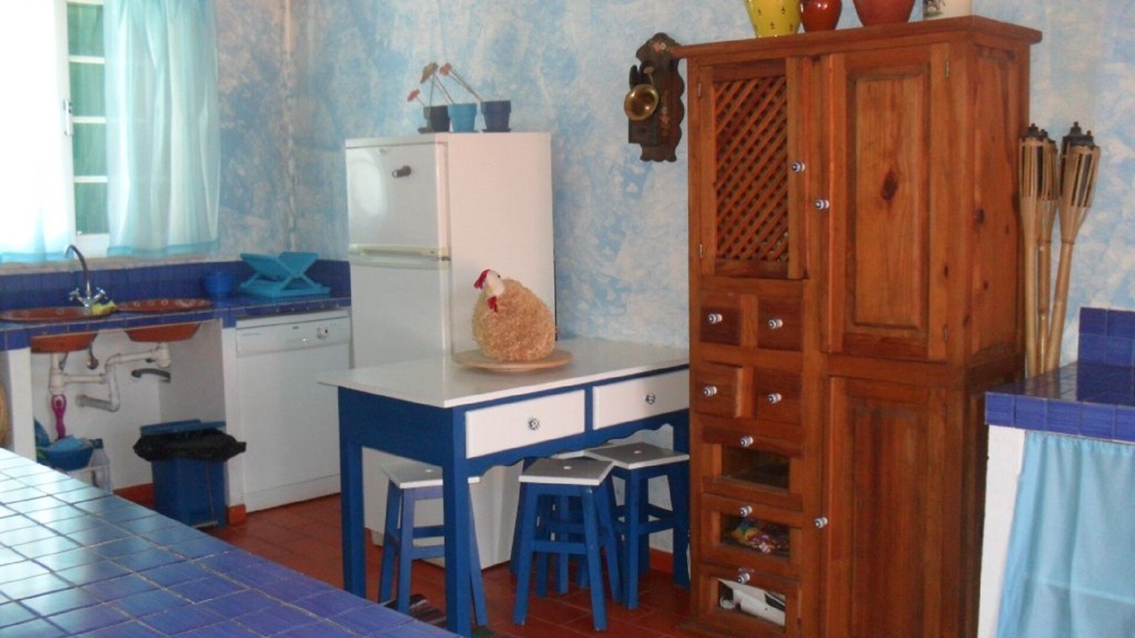 Photo of Others in Montemor-o-Novo