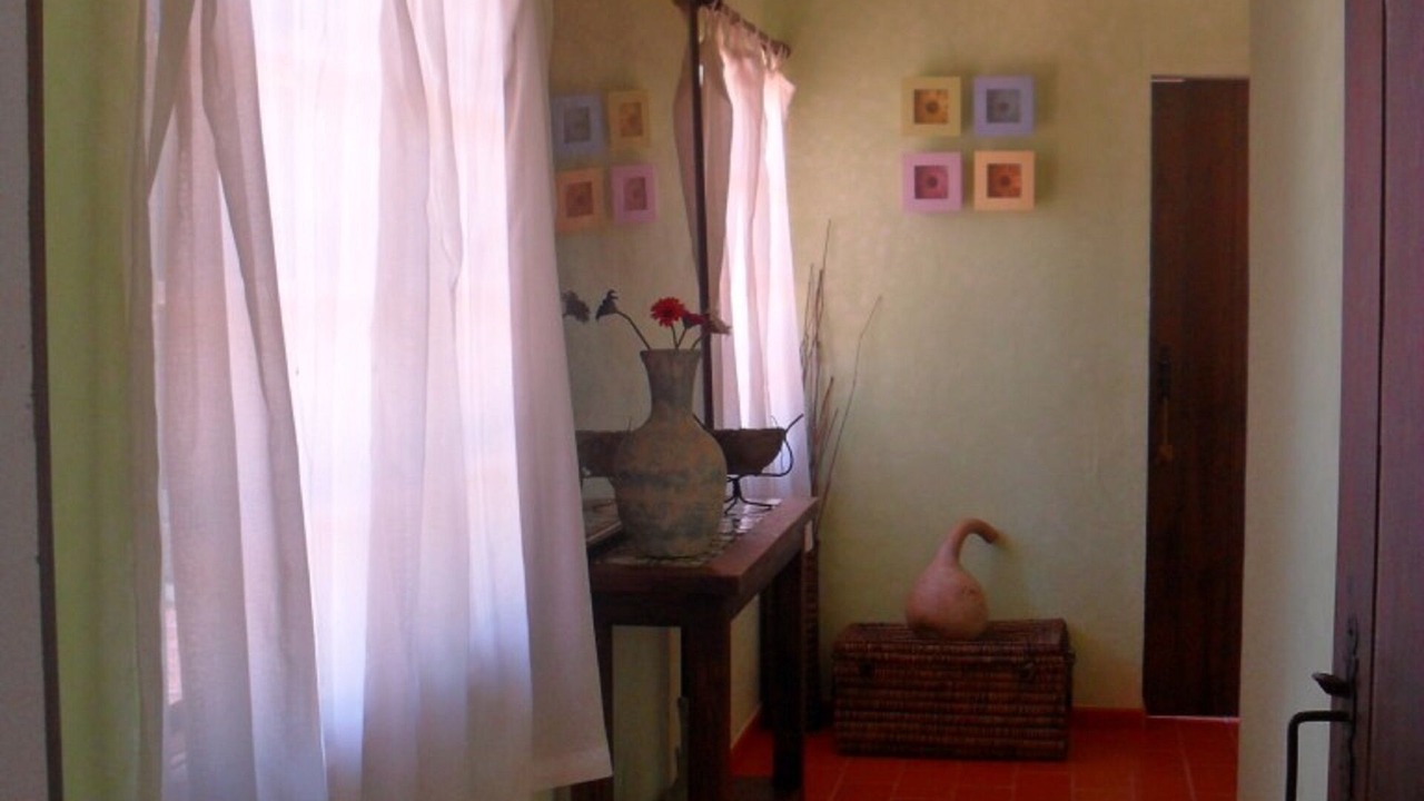 Photo of Others in Montemor-o-Novo