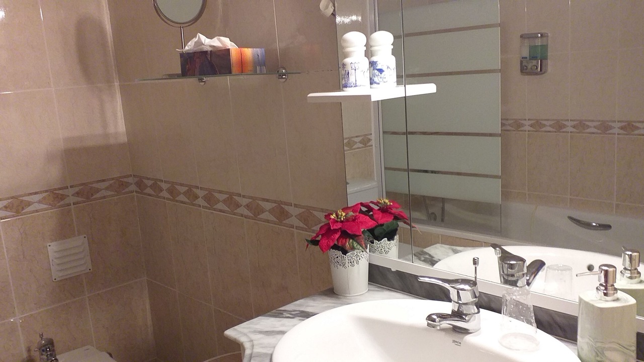 Photo of Bathroom in Torres Vedras