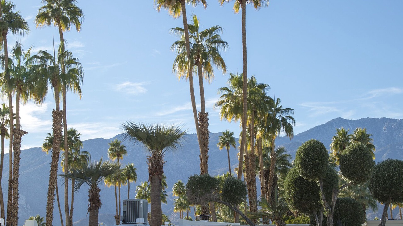 Photo of Outdoor in Araby Commons